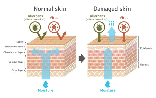 **Meet Your Skin’s Unsung Hero: The Barrier Layer!** - Jolie Clinic