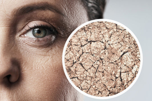 Incredible Skin Cell Facts - Jolie Clinic