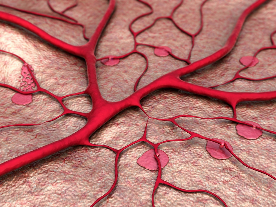 "11 Miles of Blood Vessels in Your Skin!"** - Jolie Clinic