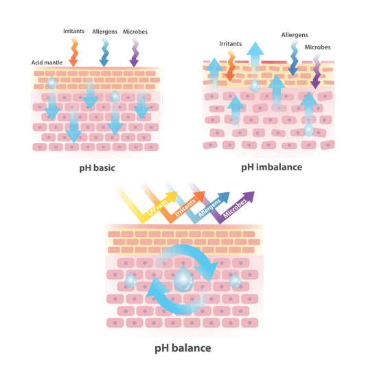 **The Thriving Community on Your Skin: Exploring the Microbiome!** - Jolie Clinic