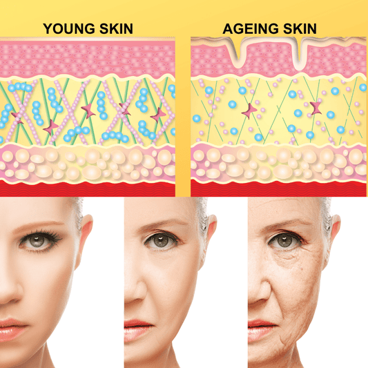 The Science of Skin Ageing: What Happens Beneath the Surface - Jolie Clinic